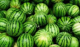 青田网红吃瓜事件真相,真相背后的网络风波